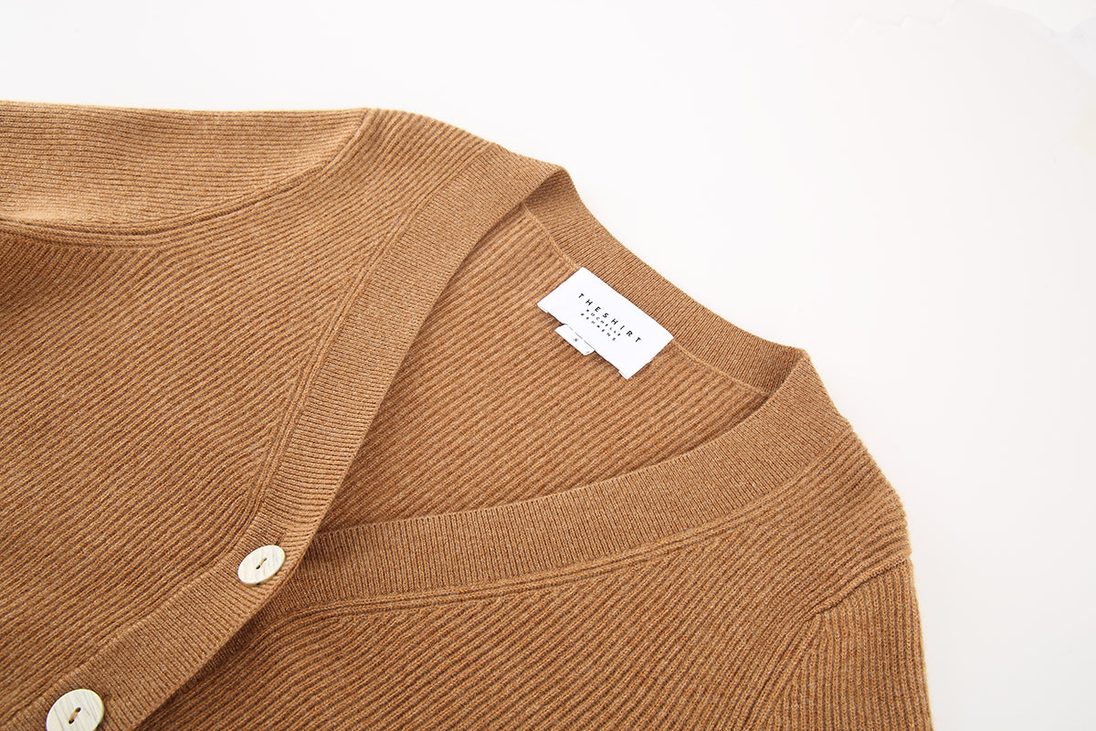 The Cashmere V-Neck Sweater