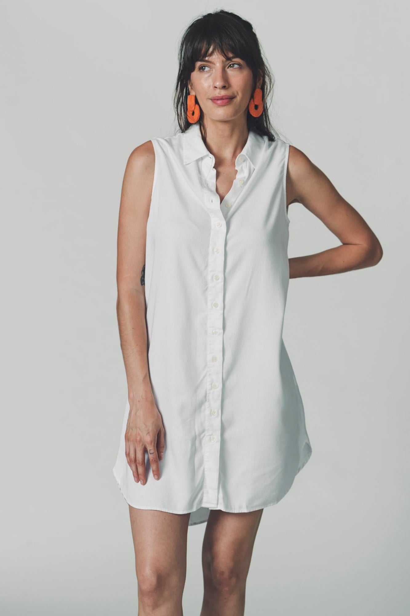 The Sleeveless Shirt Dress