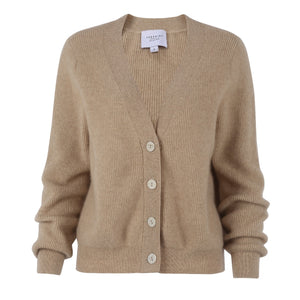 The Cashmere V-Neck Sweater
