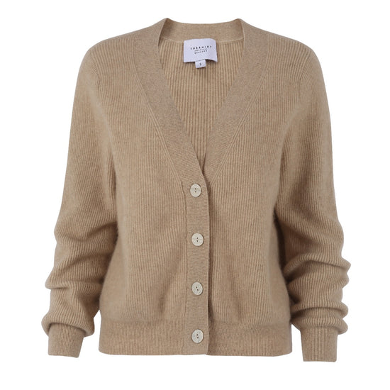 The Cashmere V-Neck Sweater