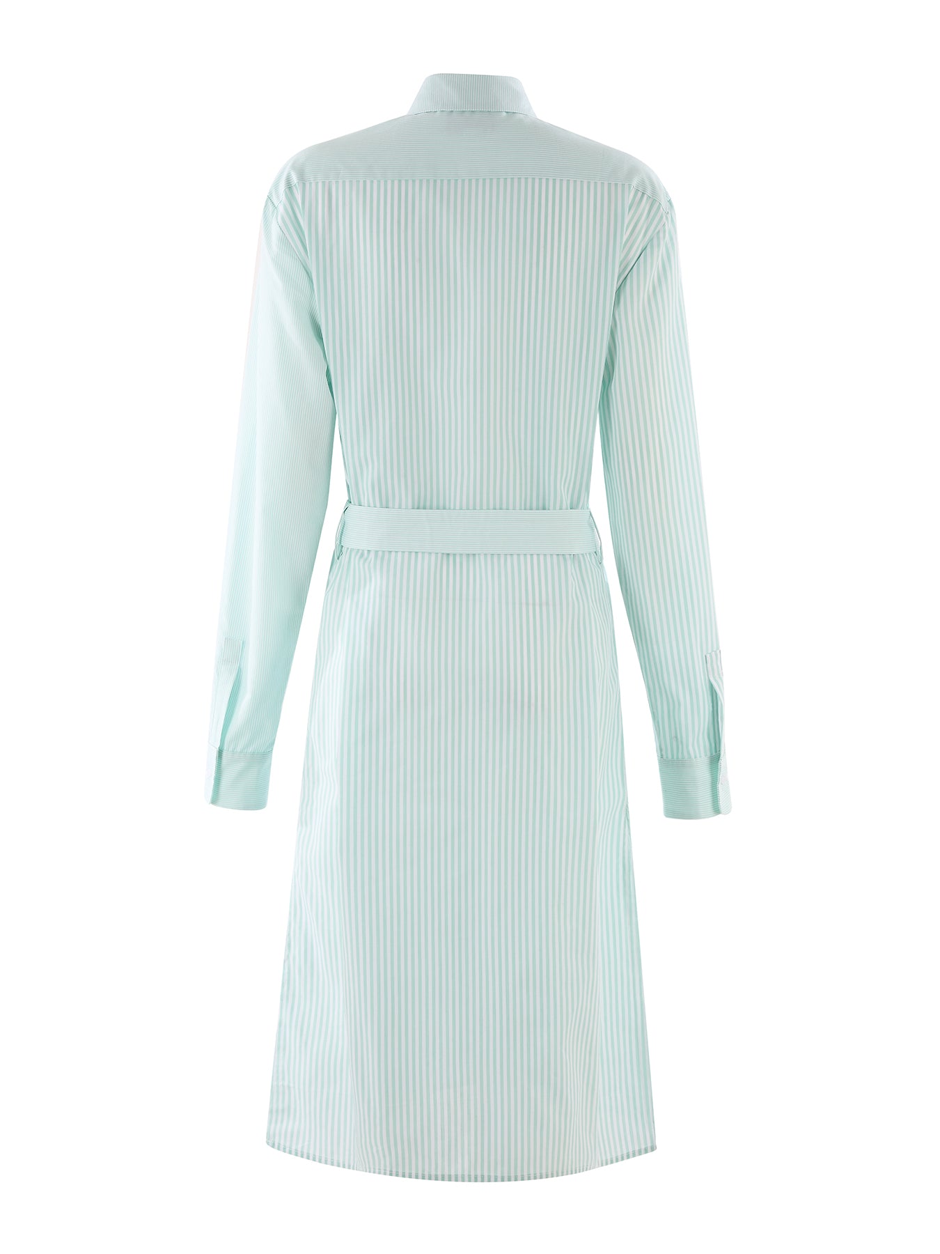 The Long Sleeve Midi Dress
