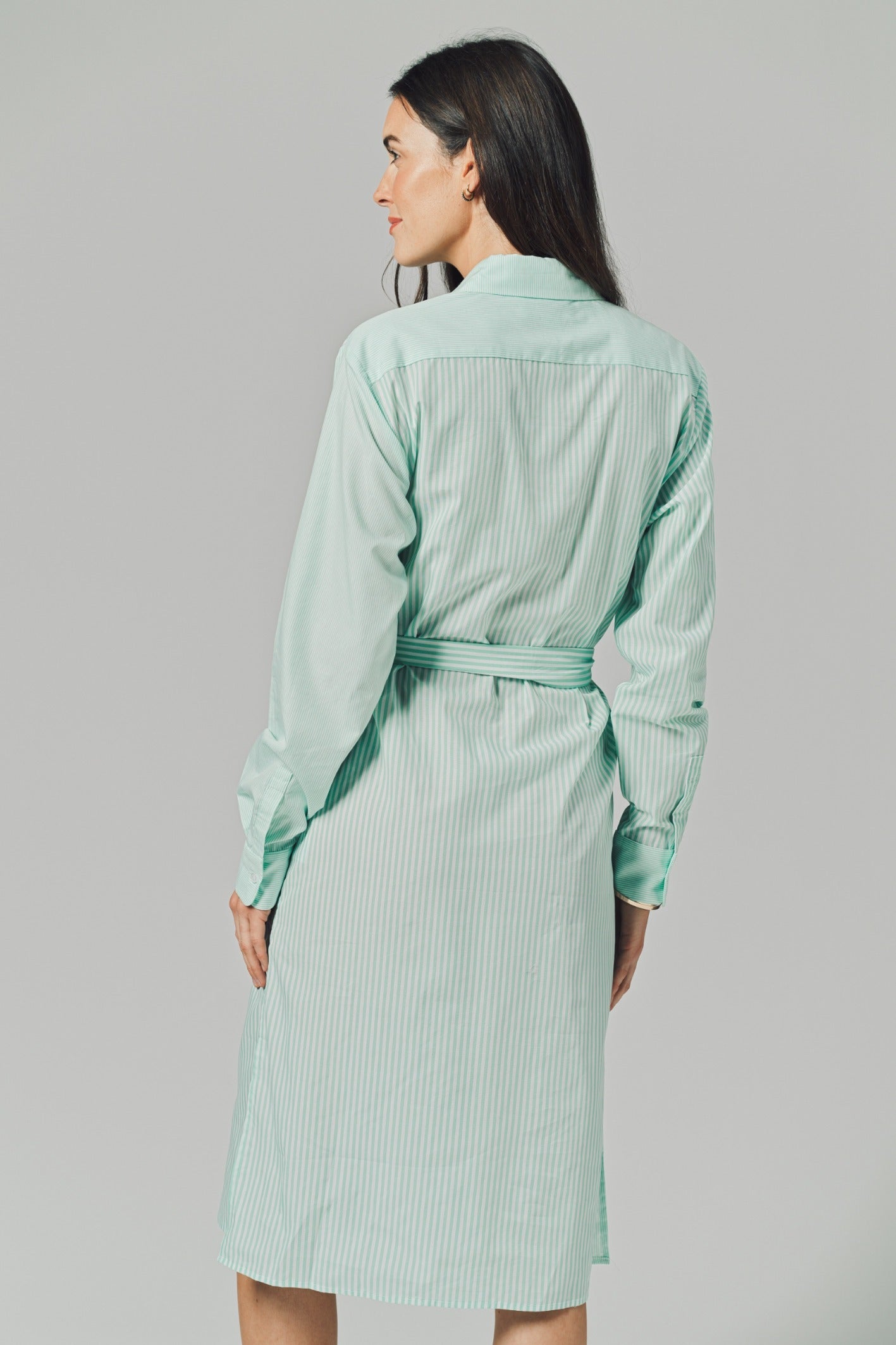 The Long Sleeve Midi Dress
