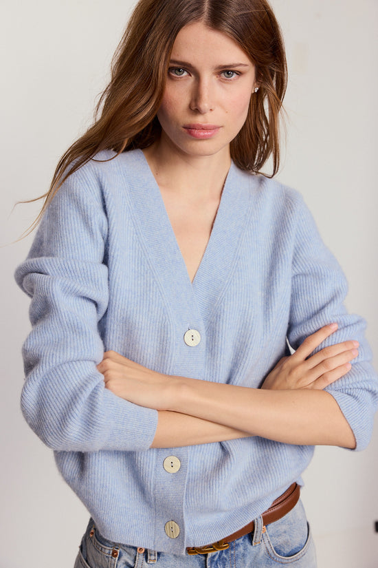 The Cashmere V-Neck Sweater