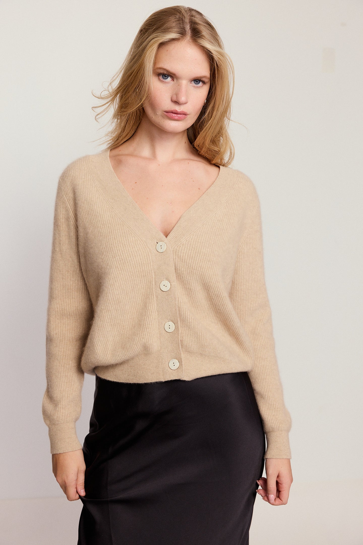 The Cashmere V-Neck Sweater