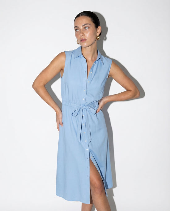 The Sleeveless Midi Dress